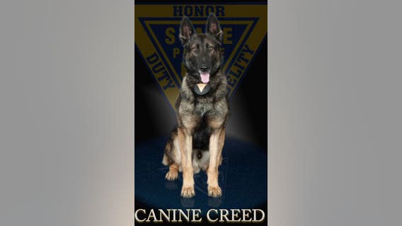 NJ State Trooper, K-9 injured while attempting to arrest knife-wielding man following pursuit, police say