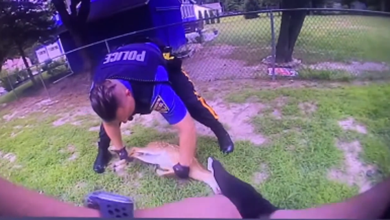 Police officers rescue trapped fawn in New Jersey
