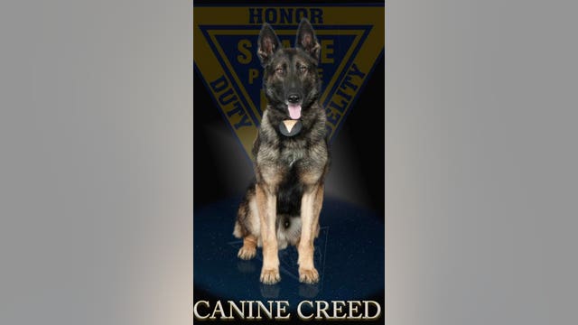 NJ State Trooper, K-9 injured while attempting to arrest knife-wielding man following pursuit, police say