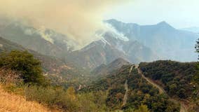 Fires shut Sequoia National Park, could threaten huge trees