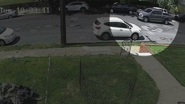 Police search for driver in hit-and-run that killed Temple University Hospital doctor on way to work