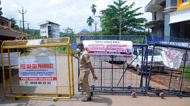 Nipah virus: India on alert after 12-year-old boy dies of rare illness