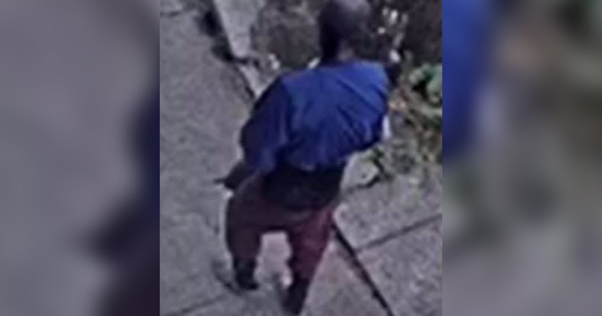 Suspect sought in attempted abduction of 2-year-old child in North ...