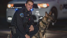 Hatboro K9 officer dies after severe reaction to bee sting