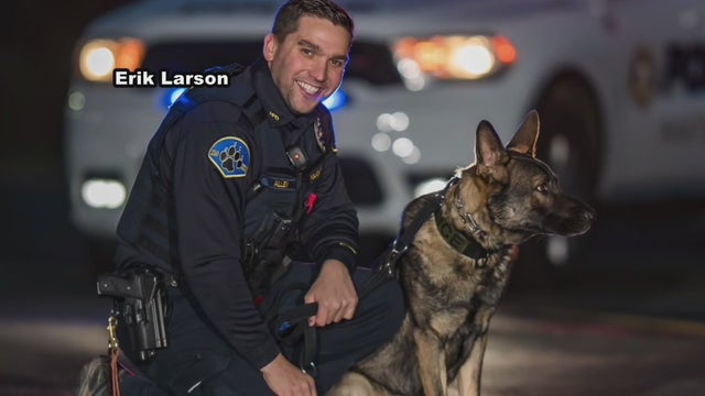 Hatboro K9 officer dies after severe reaction to bee sting