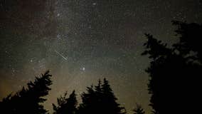 Leonid meteor shower: Here's the best time to watch