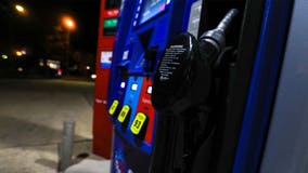 Gas prices stable 'for the time being,' shouldn't move much higher, expert says
