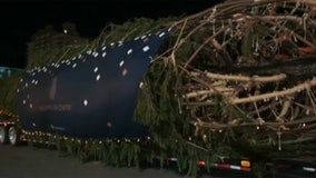 Rockefeller Center Christmas tree arrives in NYC