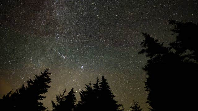 Leonid meteor shower: Here's the best time to watch