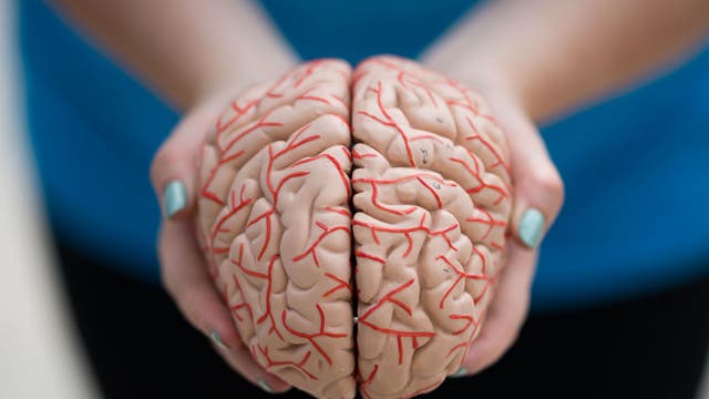 Alzheimer’s disease preventative nasal vaccine to be tested at Boston hospital