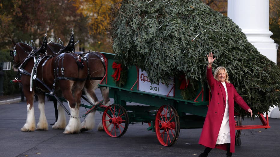 First Lady Jill Biden Welcomes This Year's White House Christmas Tree