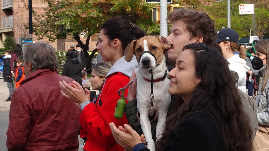 dogs-of-nyc-marathon-39.jpg