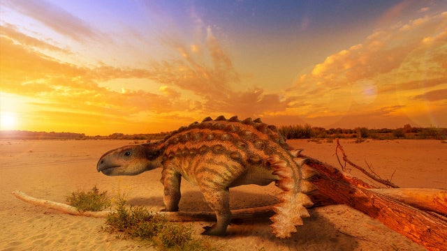 Fossils reveal a new dinosaur species that was the size of dogs