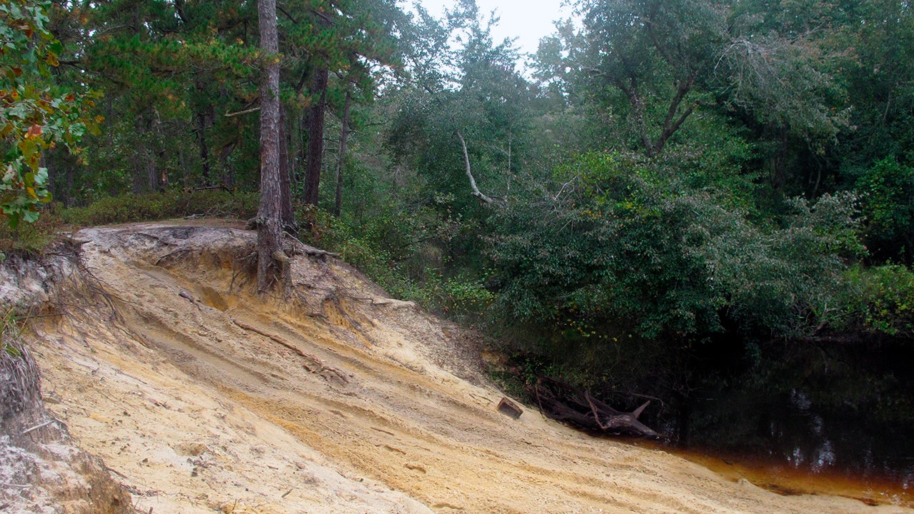 New Jersey's Pinelands: Illegal vehicles doing too much damage, groups say - Vimarsana News