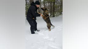 Police dog rescues Pa. man who got lost in frigid woods