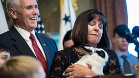 Beloved Pence family bunny, Marlon Bundo, dies