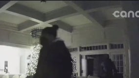 Caught on camera: Home surveillance shows suspects in recent Radnor break-ins