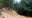 New Jersey's Pinelands: Illegal vehicles doing too much damage, groups say