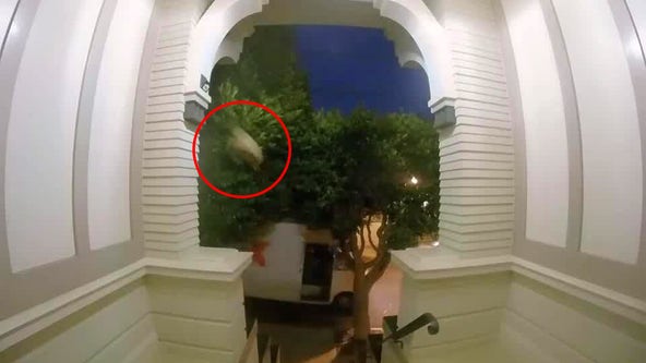 Watch: FedEx driver hurls package onto porch without leaving truck