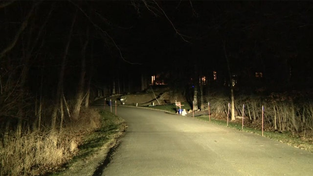 New Jersey bear attack wounds dog, 81-year-old woman