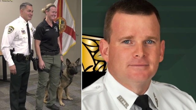New Hillsborough sheriff's K9 named after sergeant killed in line of duty