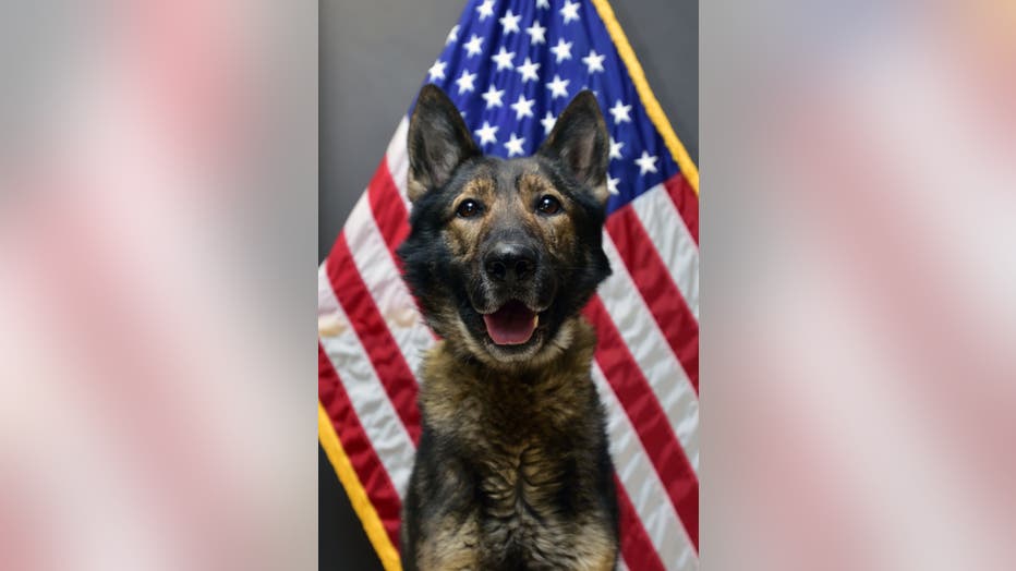 Police dog rescues Pa. man who got lost in frigid woods