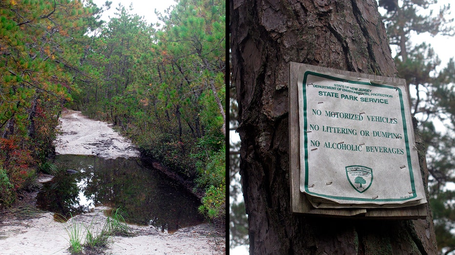 AP_New-Jersey_Pinelands_2.jpg
