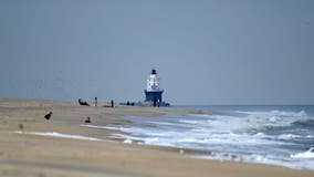 Delaware beach town considers seasonal transit system