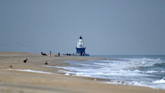 Delaware beach town considers seasonal transit system