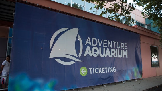 Adventure Aquarium’s parent company offering free tuition, books for all employees