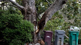 Severe thunderstorms, tornadoes possible across lower Mississippi, Tennessee valleys Sunday