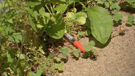 Tranq Dope: Advocacy groups warn of powerful drug gaining popularity in Philadelphia