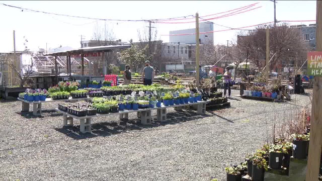 Growing interest in horticulture helps Philadelphia urban farm thrive