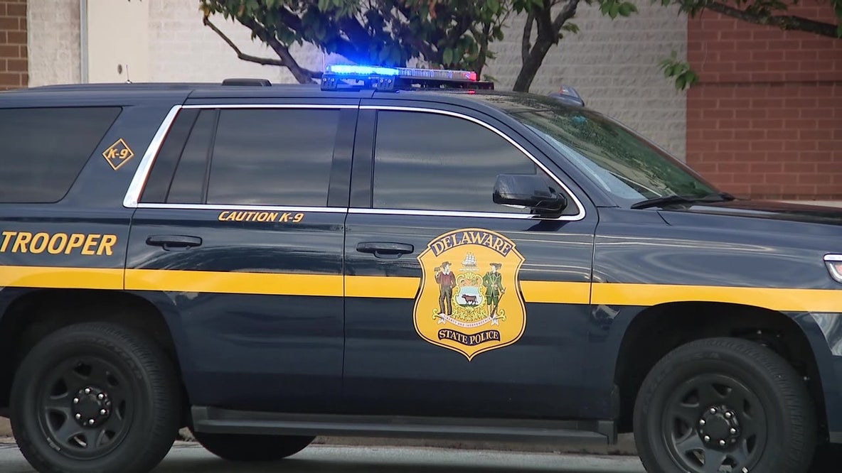 Dover driver faces charges after arrest in traffic stop; video circulates online: police