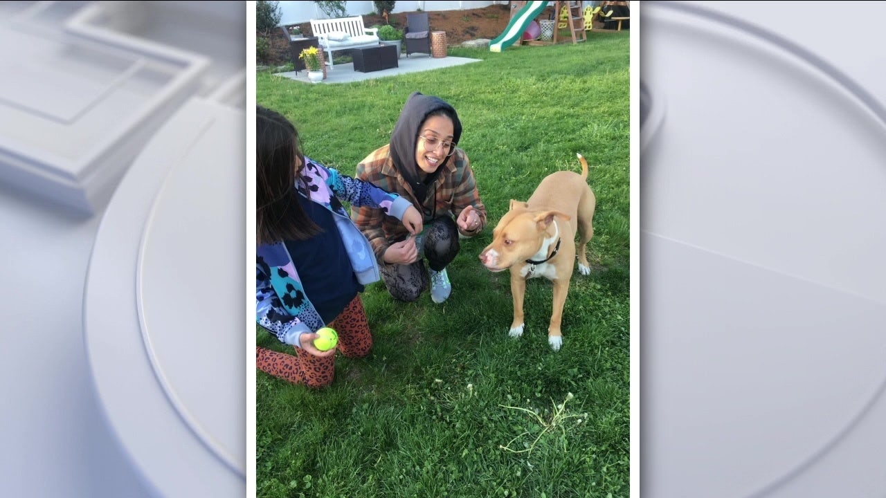New Jersey family adopts dog of terminally ill Philadelphia woman
