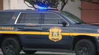 Dover driver faces charges after arrest in traffic stop; video circulates online: police