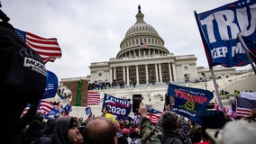 Pennsylvania man pleads guilty to striking officer with flagpole during Capitol riot