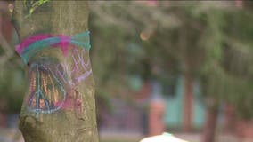 Quaker community in Haddonfield decorate with images of peace after symbols of hate painted on trees