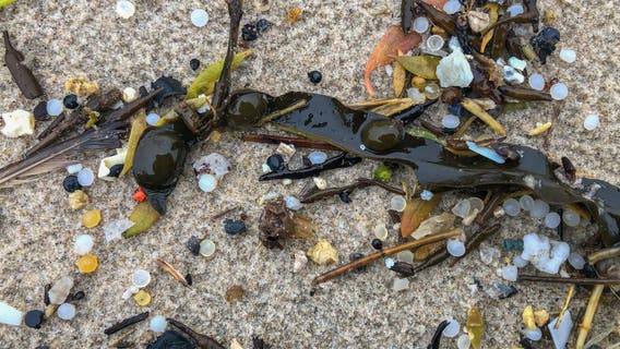 Researchers use okra, aloe extracts to remove microplastics from wastewater