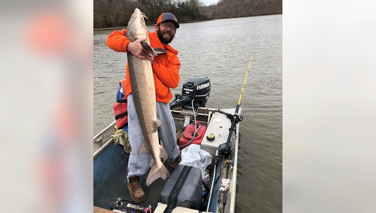 Missouri fisherman catches 50-pound rare sturgeon - FOX 29 Philadelphia