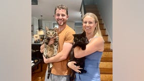 Buddy the cat adopted by veterinarian who cared for him after intentional dog attack in Frankford