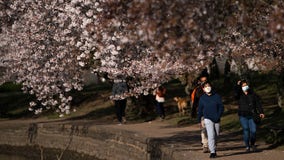 Most Americans feel short mental health breaks boost their well-being, survey finds