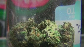 Cannabis sales in N.J. are going strong, after a big first month