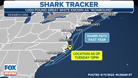 Ironbound: Half ton great white shark tracked off New Jersey coast