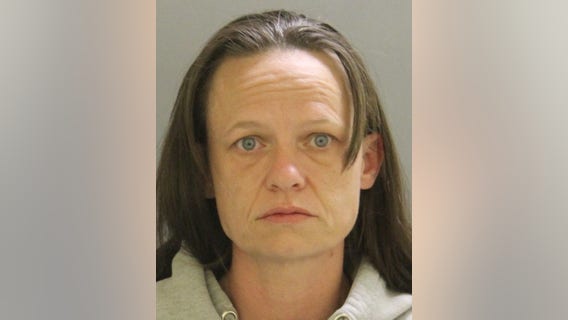 Delaware police investigating crash scene where dog was killed