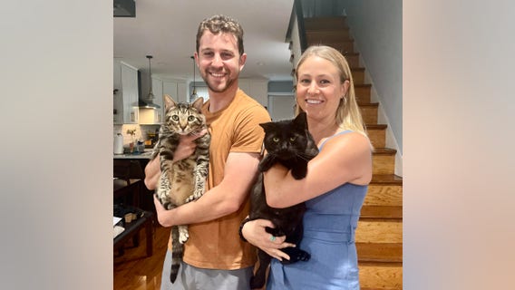 Buddy the cat adopted by veterinarian who cared for him after intentional dog attack in Frankford