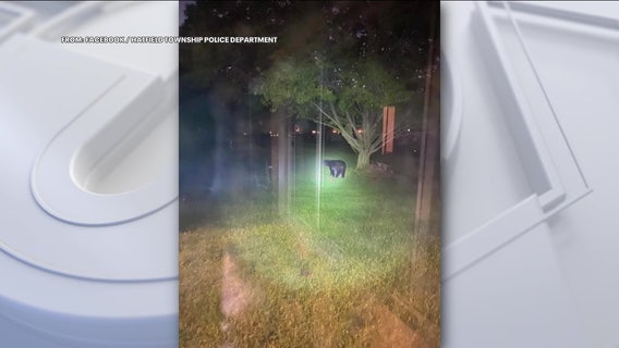 Bear on the loose in Montgomery County, officials say