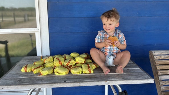 Texas toddler accidentally orders 31 cheeseburgers on DoorDash