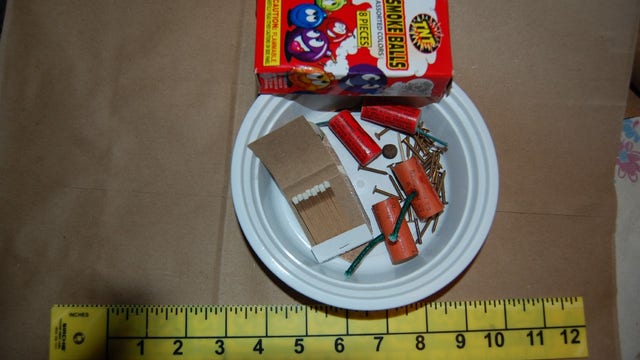 Multiple homemade explosives found in 82-year-old man's N.J. home, police say