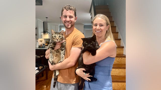 Buddy the cat adopted by veterinarian who cared for him after intentional dog attack in Frankford